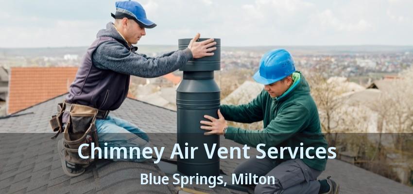 Chimney Air Vent Services Blue Springs, Milton - ON