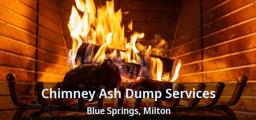 Chimney Ash Dump Services Blue Springs, Milton - ON