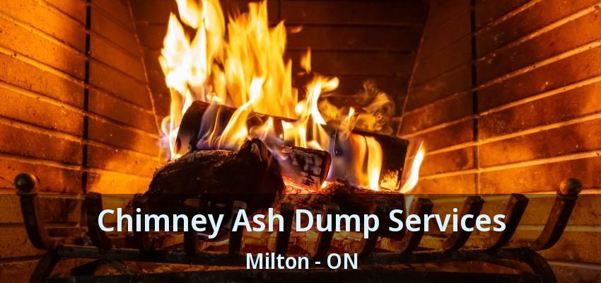 Chimney Ash Dump Services Milton - ON
