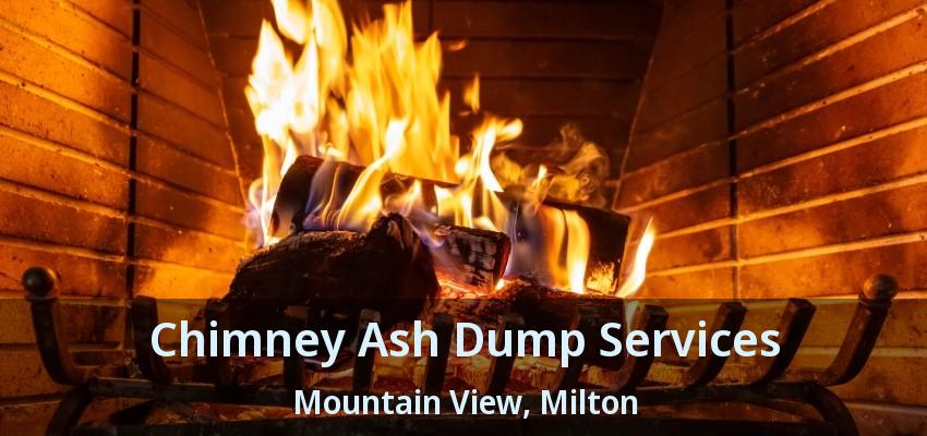 Chimney Ash Dump Services Mountain View, Milton - ON
