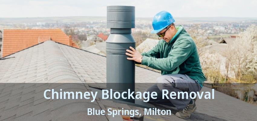Chimney Blockage Removal Blue Springs, Milton - ON
