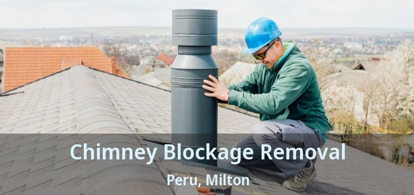 Chimney Blockage Removal Peru, Milton - ON