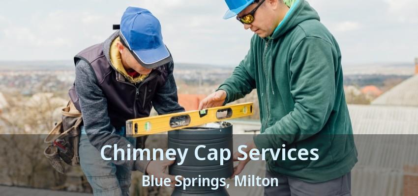 Chimney Cap Services Blue Springs, Milton - ON