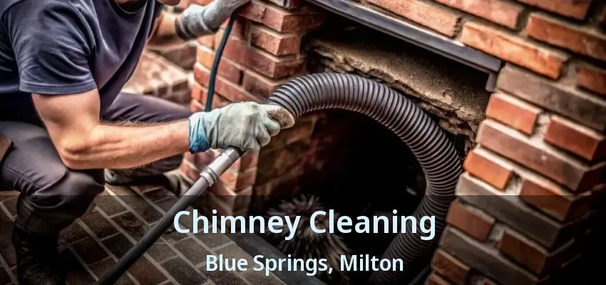 Chimney Cleaning Blue Springs, Milton - ON