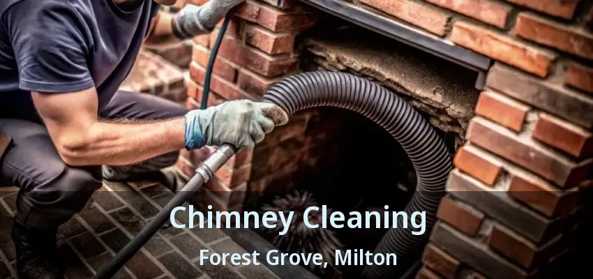 Chimney Cleaning Forest Grove, Milton - ON