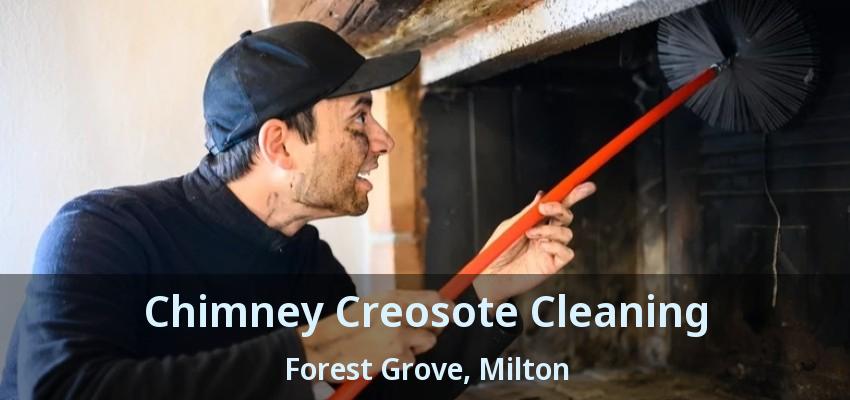 Chimney Creosote Cleaning Forest Grove, Milton - ON