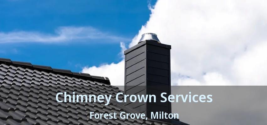 Chimney Crown Services Forest Grove, Milton - ON