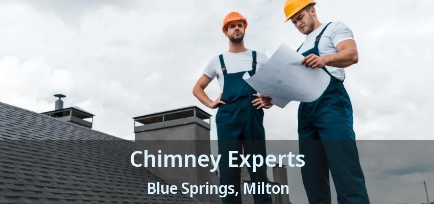 Chimney Experts Blue Springs, Milton - ON