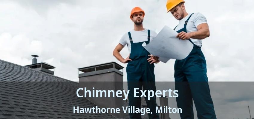 Chimney Experts Hawthorne Village, Milton - ON