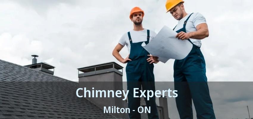 Chimney Experts Milton - ON