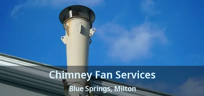 Chimney Fan Services Blue Springs, Milton - ON