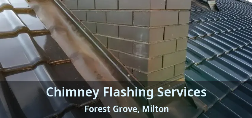 Chimney Flashing Services Forest Grove, Milton - ON