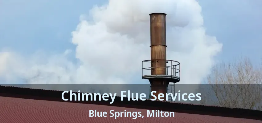 Chimney Flue Services Blue Springs, Milton - ON