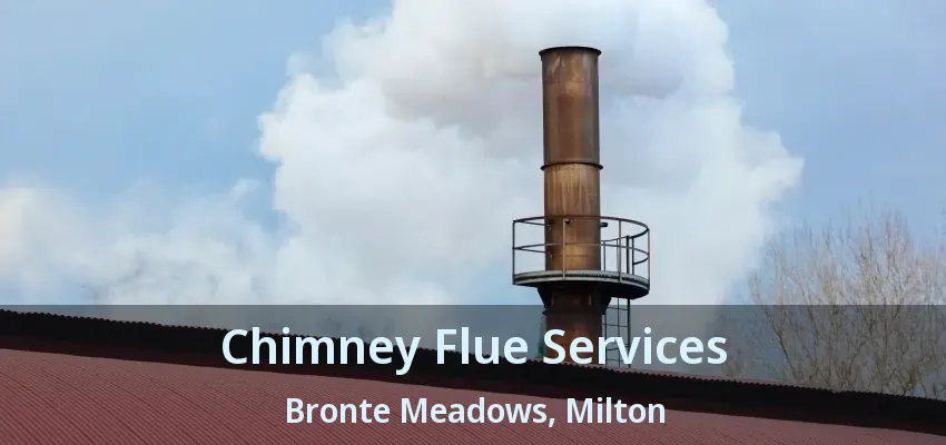 Chimney Flue Services Bronte Meadows, Milton - ON