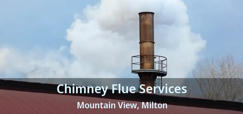 Chimney Flue Services Mountain View, Milton - ON