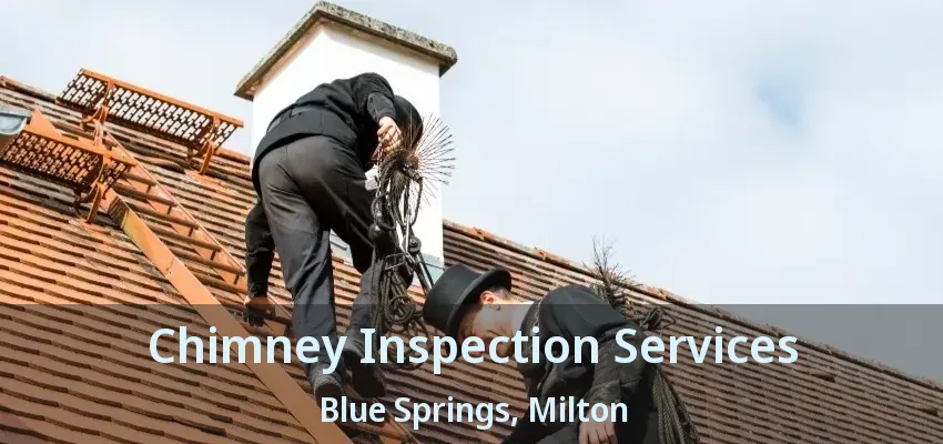 Chimney Inspection Services Blue Springs, Milton - ON