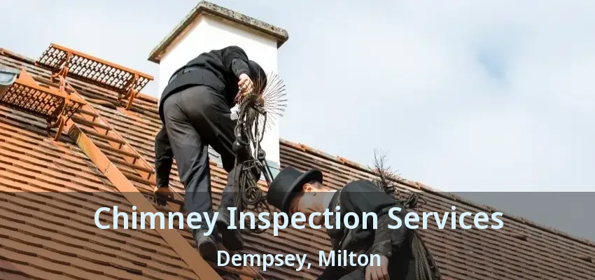 Chimney Inspection Services Dempsey, Milton - ON