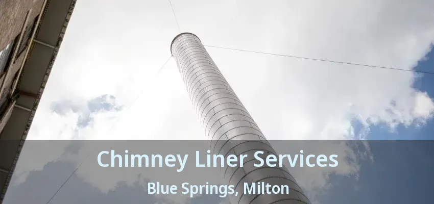 Chimney Liner Services Blue Springs, Milton - ON