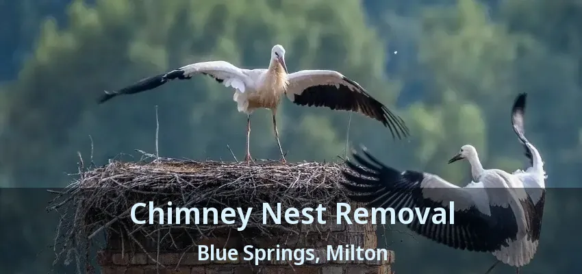 Chimney Nest Removal Blue Springs, Milton - ON