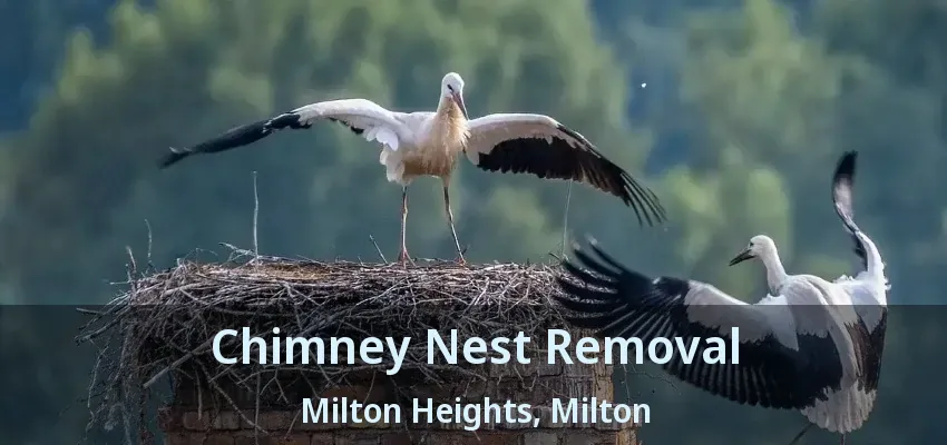 Chimney Nest Removal Milton Heights, Milton - ON