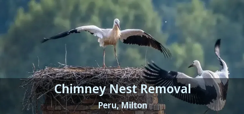 Chimney Nest Removal Peru, Milton - ON