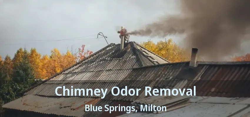 Chimney Odor Removal Blue Springs, Milton - ON