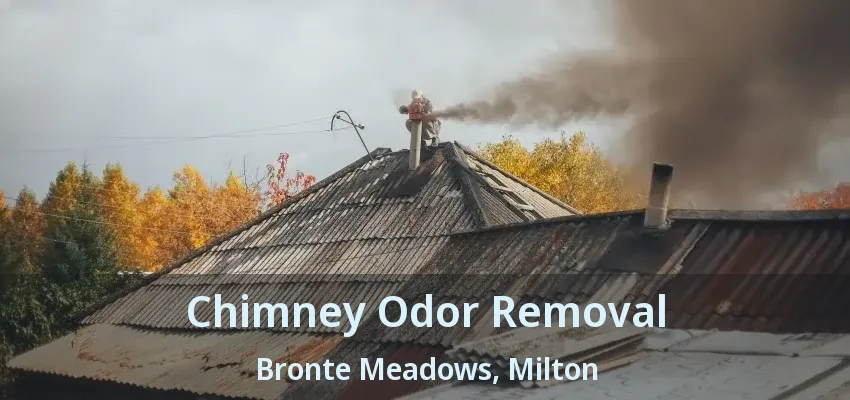 Chimney Odor Removal Bronte Meadows, Milton - ON