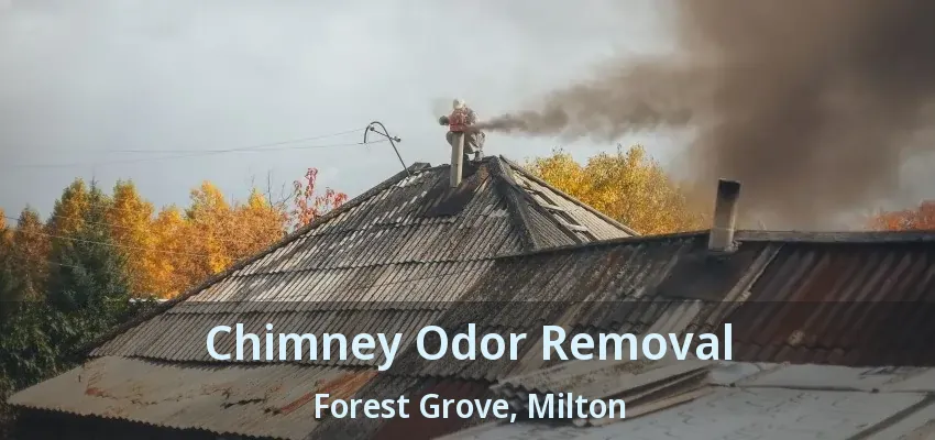 Chimney Odor Removal Forest Grove, Milton - ON