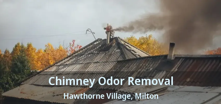Chimney Odor Removal Hawthorne Village, Milton - ON