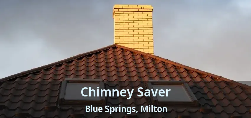 Chimney Saver Blue Springs, Milton - ON