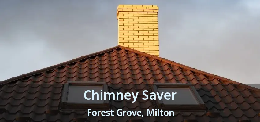 Chimney Saver Forest Grove, Milton - ON