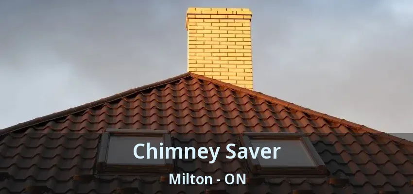 Chimney Saver Milton - ON