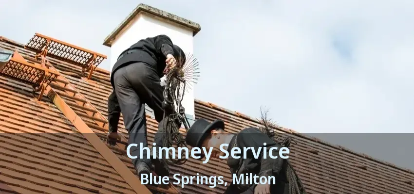 Chimney Service Blue Springs, Milton - ON