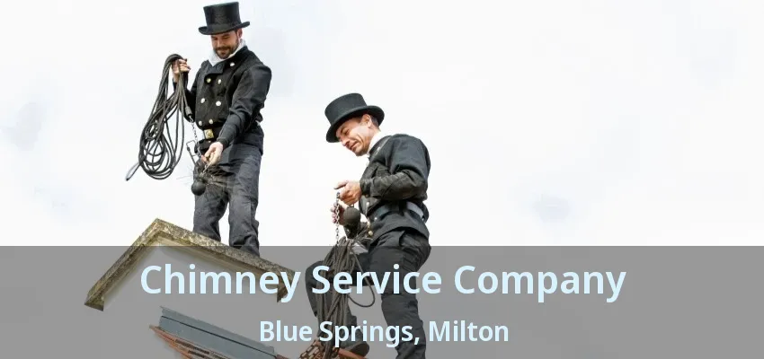 Chimney Service Company Blue Springs, Milton - ON