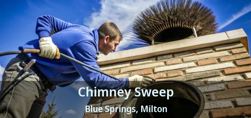 Chimney Sweep Blue Springs, Milton - ON