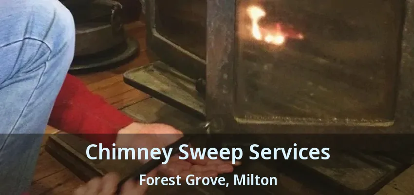 Chimney Sweep Services Forest Grove, Milton - ON