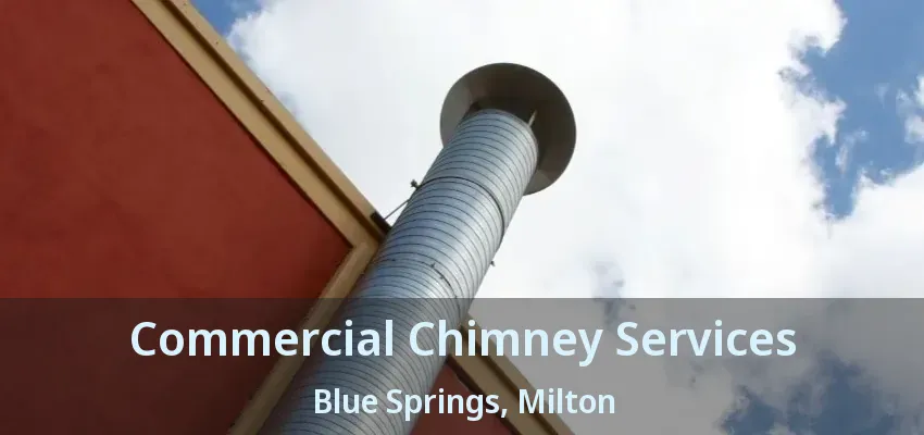 Commercial Chimney Services Blue Springs, Milton - ON