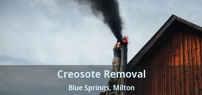 Creosote Removal Blue Springs, Milton - ON