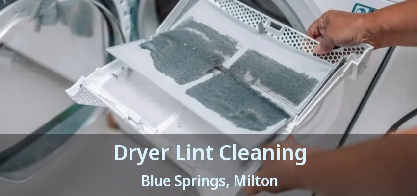 Dryer Lint Cleaning Blue Springs, Milton - ON