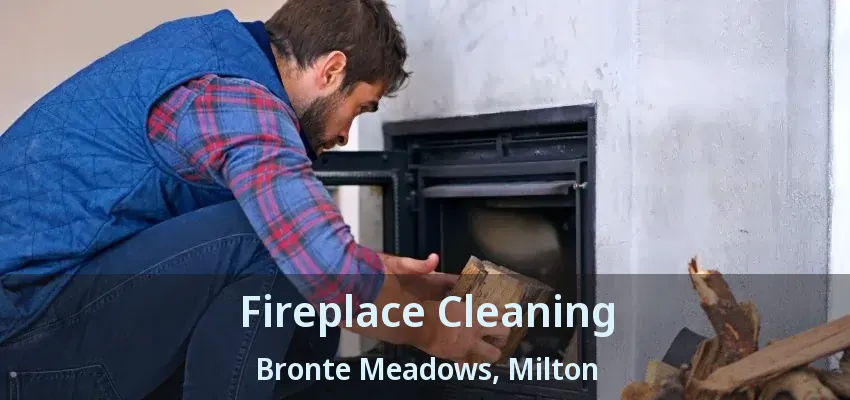 Fireplace Cleaning Bronte Meadows, Milton - ON