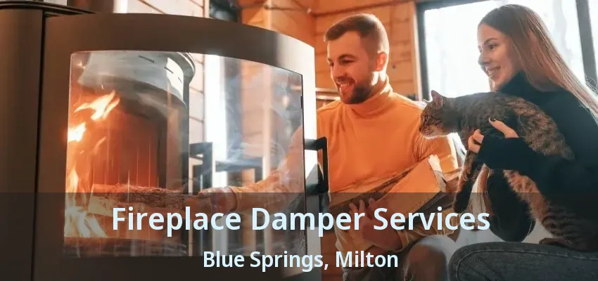 Fireplace Damper Services Blue Springs, Milton - ON