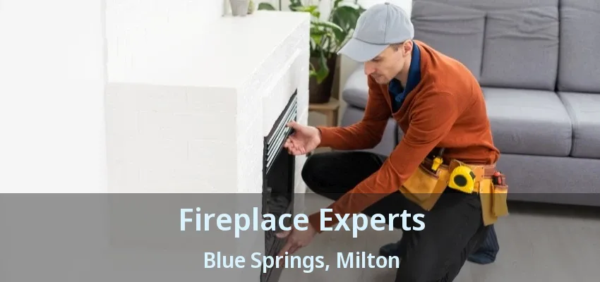 Fireplace Experts Blue Springs, Milton - ON