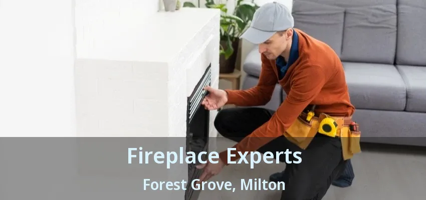 Fireplace Experts Forest Grove, Milton - ON
