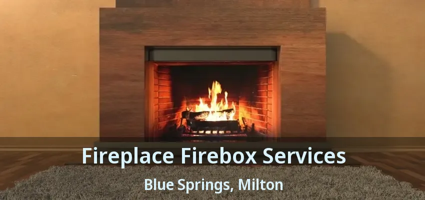 Fireplace Firebox Services Blue Springs, Milton - ON