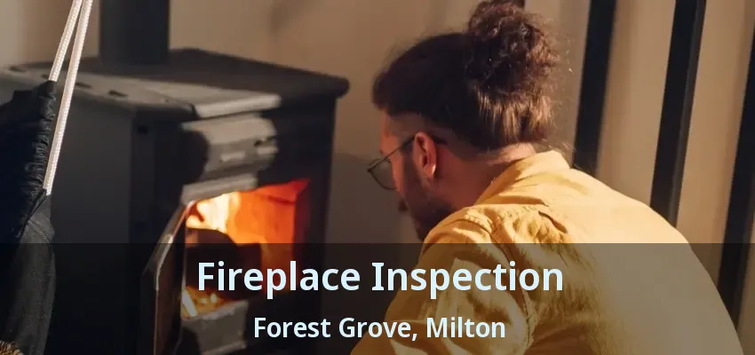 Fireplace Inspection Forest Grove, Milton - ON