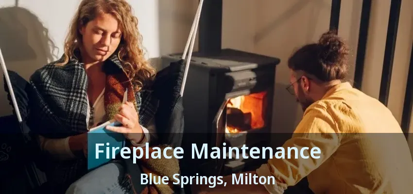 Fireplace Maintenance Blue Springs, Milton - ON