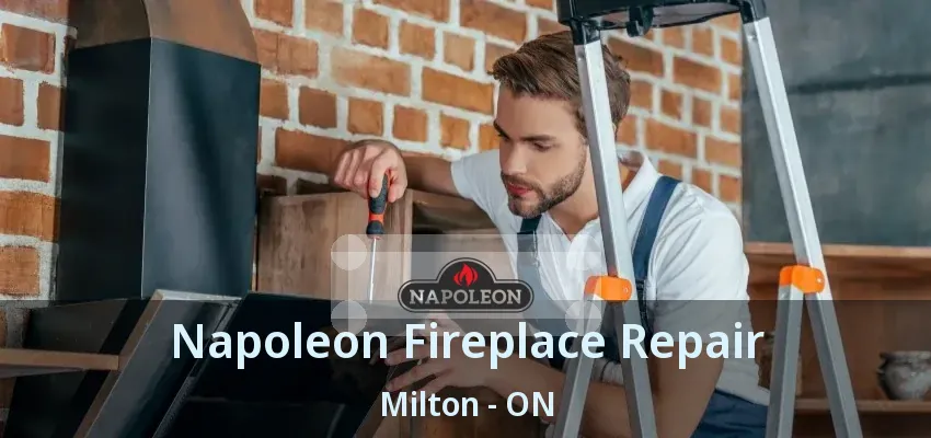 Napoleon Fireplace Repair Milton - ON Napoleon Fireplace Repair Milton - ON