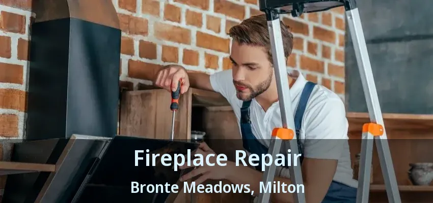 Fireplace Repair Bronte Meadows, Milton - ON