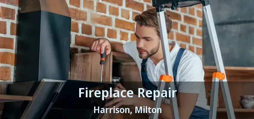 Fireplace Repair Harrison, Milton - ON