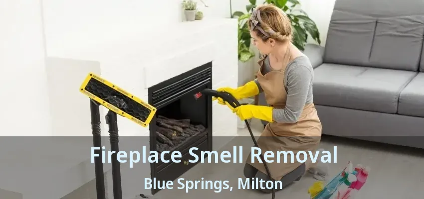 Fireplace Smell Removal Blue Springs, Milton - ON